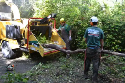 tree services French Gulch